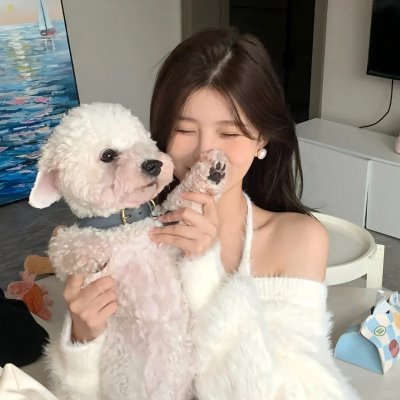 鱼与猫