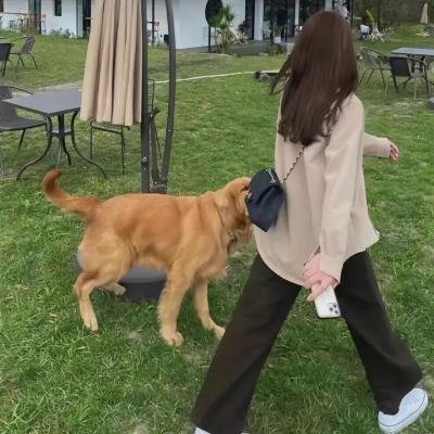 一生爱永远